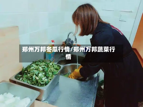 郑州万邦冬瓜行情/郑州万邦蔬菜行情-第2张图片