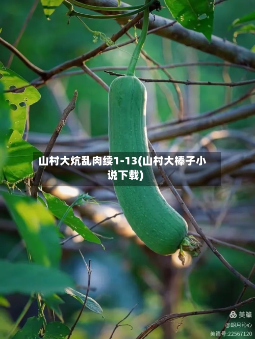 山村大炕乱肉续1-13(山村大棒子小说下载)
