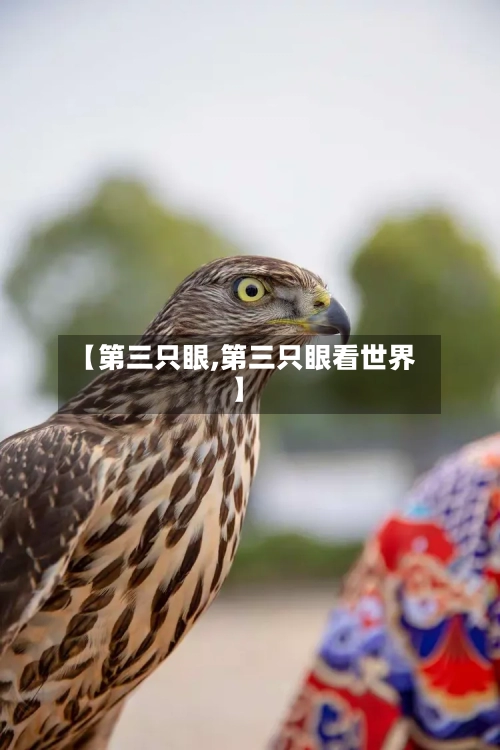 【第三只眼,第三只眼看世界】-第2张图片
