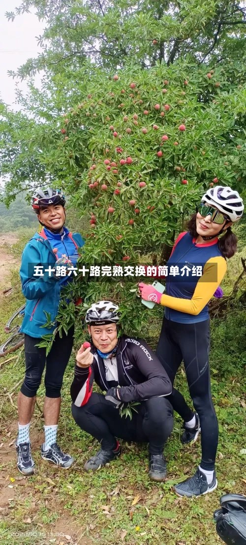 五十路六十路完熟交换的简单介绍