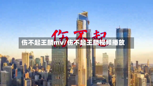 伤不起王麟mv/伤不起王麟视频播放