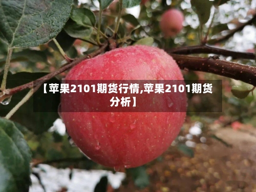 【苹果2101期货行情,苹果2101期货分析】