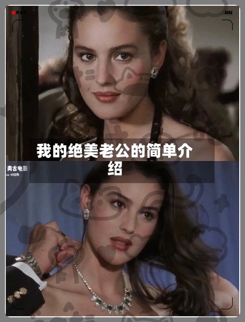 我的绝美老公的简单介绍