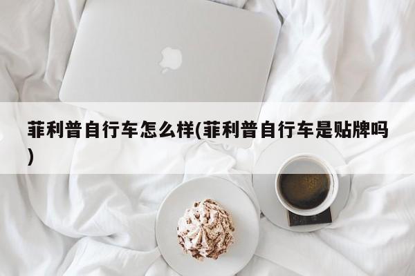 菲利普自行车怎么样(菲利普自行车是贴牌吗)